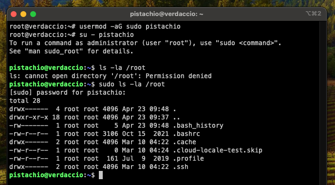 screenshot of a terminal showing the result of sudo ls -la /root