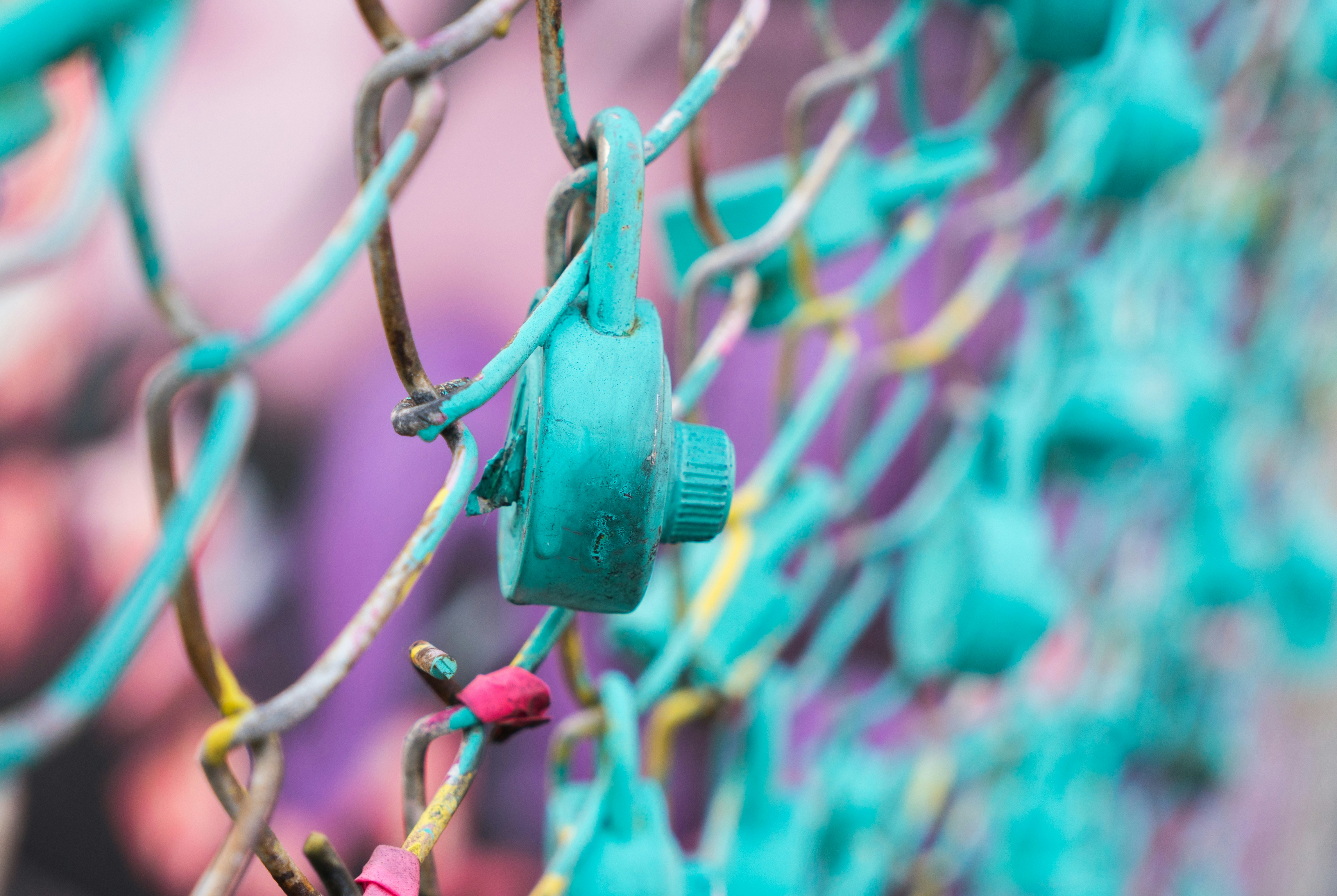 Cover image for the post. A painted padlock on a link fence. Photo taken by Paulius Dragunas.
