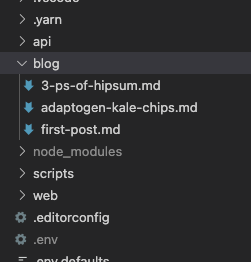 Screenshot of VSCode showing my /blog folder